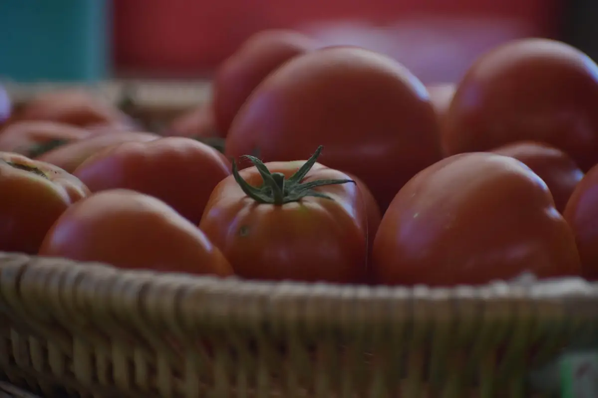 Ripe red tomatoes in a basket